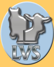 LVSlogo